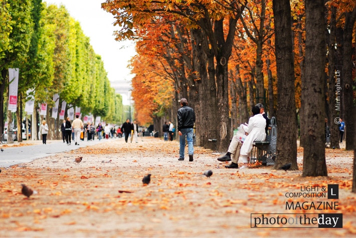 Autumn in Paris, by Minh Nghia Le