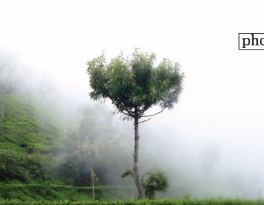 The Way to the Heaven, by Subhashish Nag Choudhury