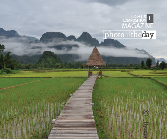 Across the Rice Field, by Ryszard Wierzbicki