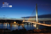 The Cable Bridge, by Sanjoy Sengupta