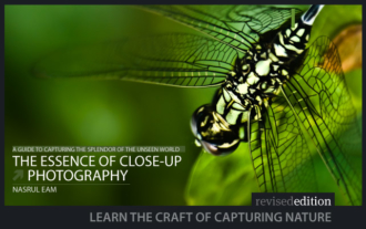 The Essence of Close-Up Photography