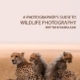 A Photographer's Guide to Wildlife Photography