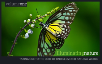 Illuminating Nature, Volume One