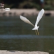 Take Off, by Nazmul Shanji