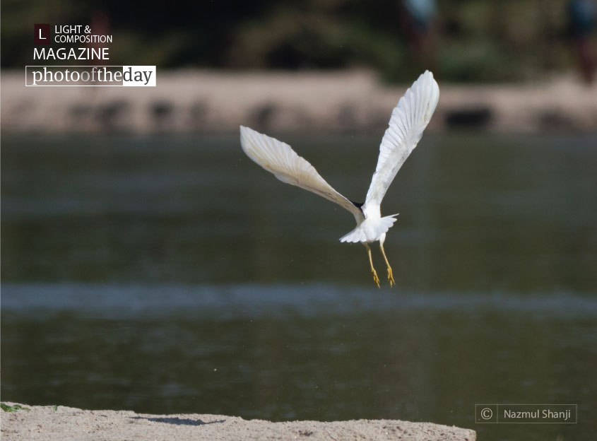 Take Off, by Nazmul Shanji