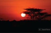 Kruger National Park Sunset, by Dawid Theron