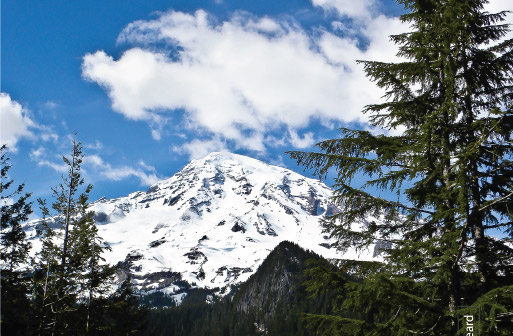 Mt Rainier, by Tisha Clinkenbeard