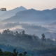 Misty Morning at Munnar, by Prasanth Chandran