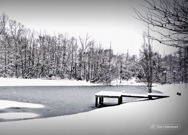 Snowy Winter Day, by Tisha Clinkenbeard