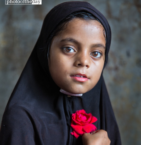 The Girl with a Red Rose, by Shahnaz Parvin