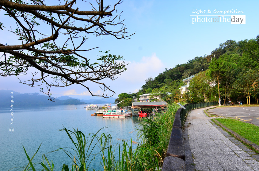 Life by the Lake, by Sanjoy Sengupta