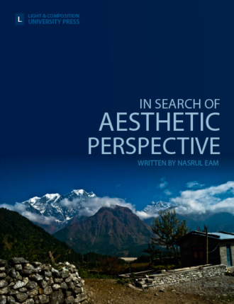 In search of aesthetic perspective cover