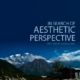 In search of aesthetic perspective cover