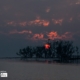 The Sunset at Sundarban, by Tanmoy Saha