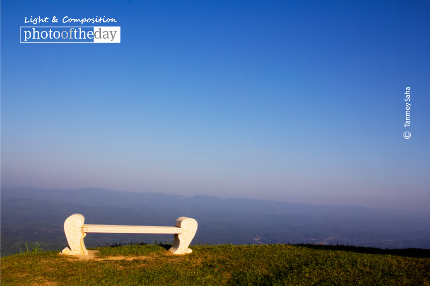 A Lazy Evening at Neelgiri, by Tanmoy Saha