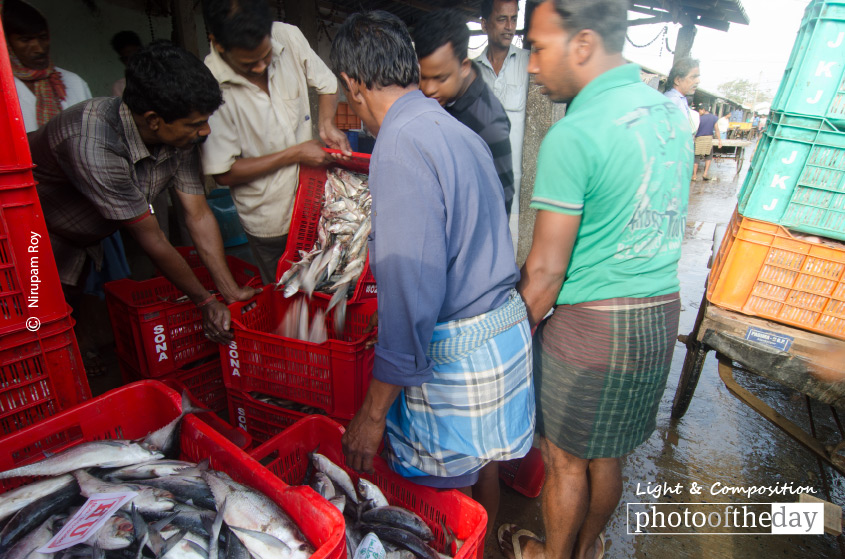 Sorting Out, by Nirupam Roy