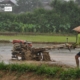 Preparing Rice Paddy Field, by Ryszard Wierzbicki