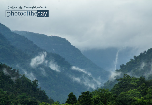 A Pleasant View, by Tanmoy Saha