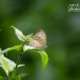 Enjoying Soft Light, by Nirupam Roy