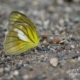 Landing, by Nirupam Roy