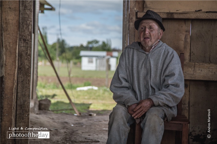 Old Age in the Field, by Andres Martinoli