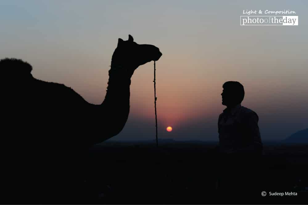 The Nomadic Silhouette, by Sudeep Mehta