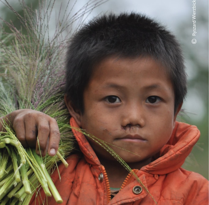 Harvesting Boy, by Ryszard Wierzbicki