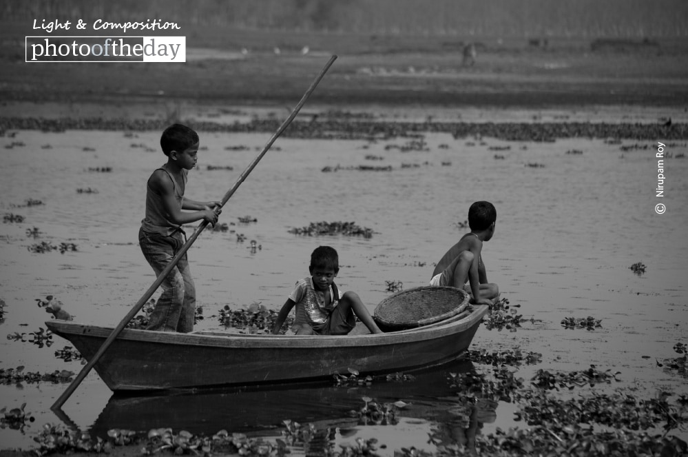 Playful Boys, by Nirupam Roy