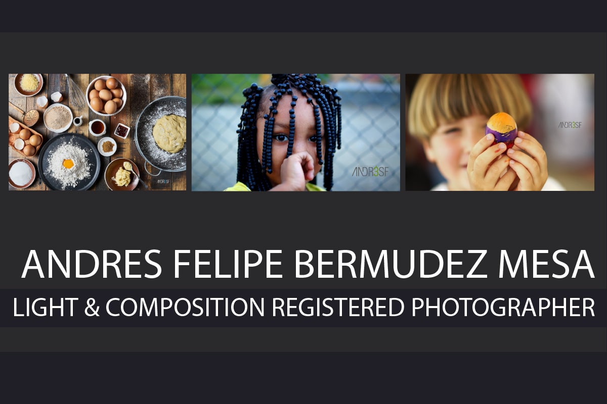 Andres Felipe Bermudez Mesa