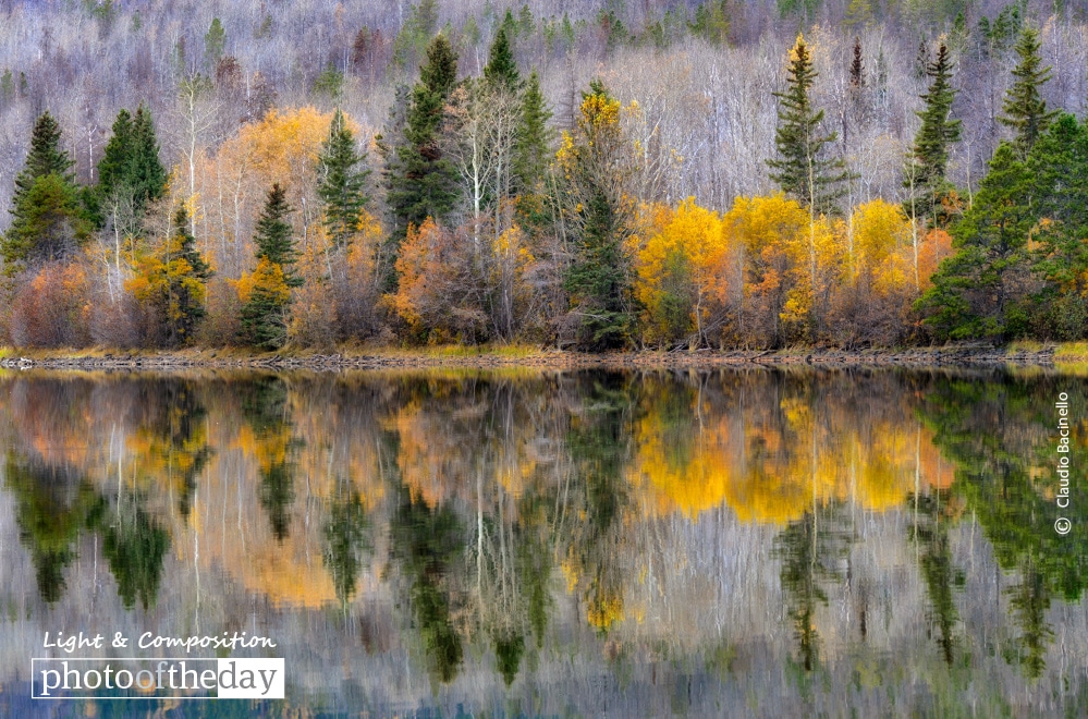 Chilko Lake Reflection, by Claudio Bacinello