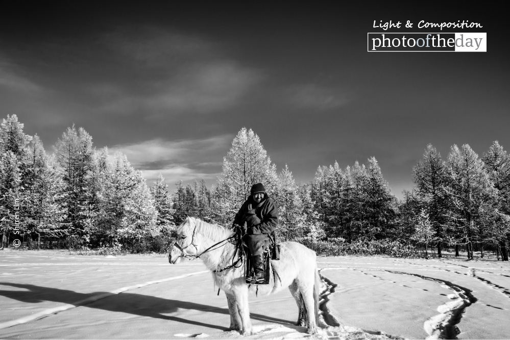 Mongolian Horseman, by Shirren Lim