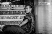 The Monk at Shwedagon Pagoda, by Shirren Lim