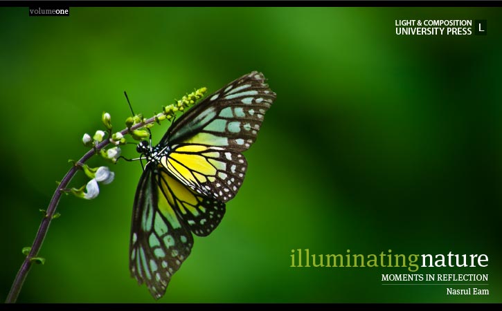 Illuminating nature volume one cover