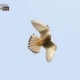 A Common Kestrel Hovering, by Saniar Rahman Rahul