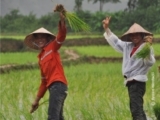 Farmers' Greetings, by Ryszard Wierzbicki