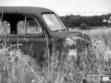 The Old Car, by Tisha Clinkenbeard