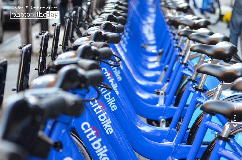 Citi Bikes, by Des Brownlie