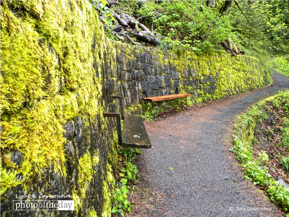 Benches on the Walls, by Tisha Clinkenbeard