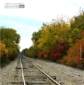 Fall Tracks, by Tisha Clinkenbeard