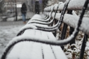 Snow Covered Benches, by Des Brownlie