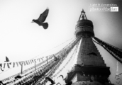 Boudhanath, by Shirren Lim