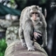 Balancing on the Wall, by Ryszard Wierzbicki