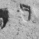 Footprints in the Sand, by Tisha Clinkenbeard