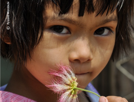 Her Eyes and the Flower, by Ryszard Wierzbicki