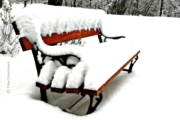 Snowy Seat, by Tisha Clinkenbeard