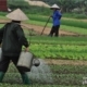 Watering Plants, by Ryszard Wierzbicki