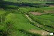 Hevsel Gardens in Diyarbakir, by Mehmet Masum