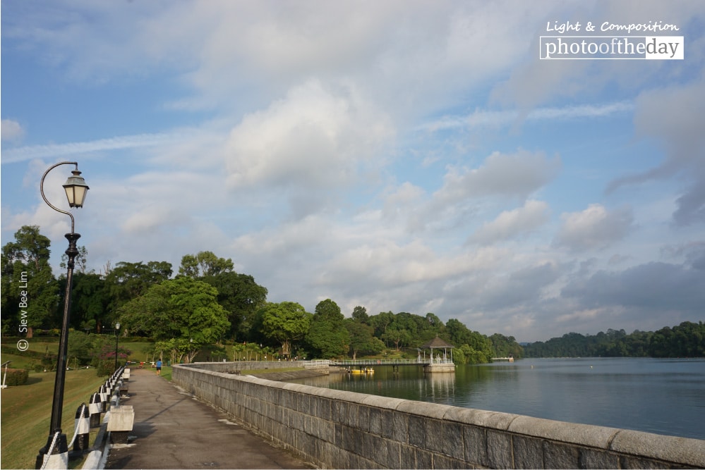 MacRitchie Reservoir Park, by Siew Bee Lim