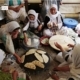 Traditional Kurdish Pie Baking, by Mehmet Masum