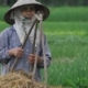 A Vietnamese Farmer, by Ryszard Wierzbicki